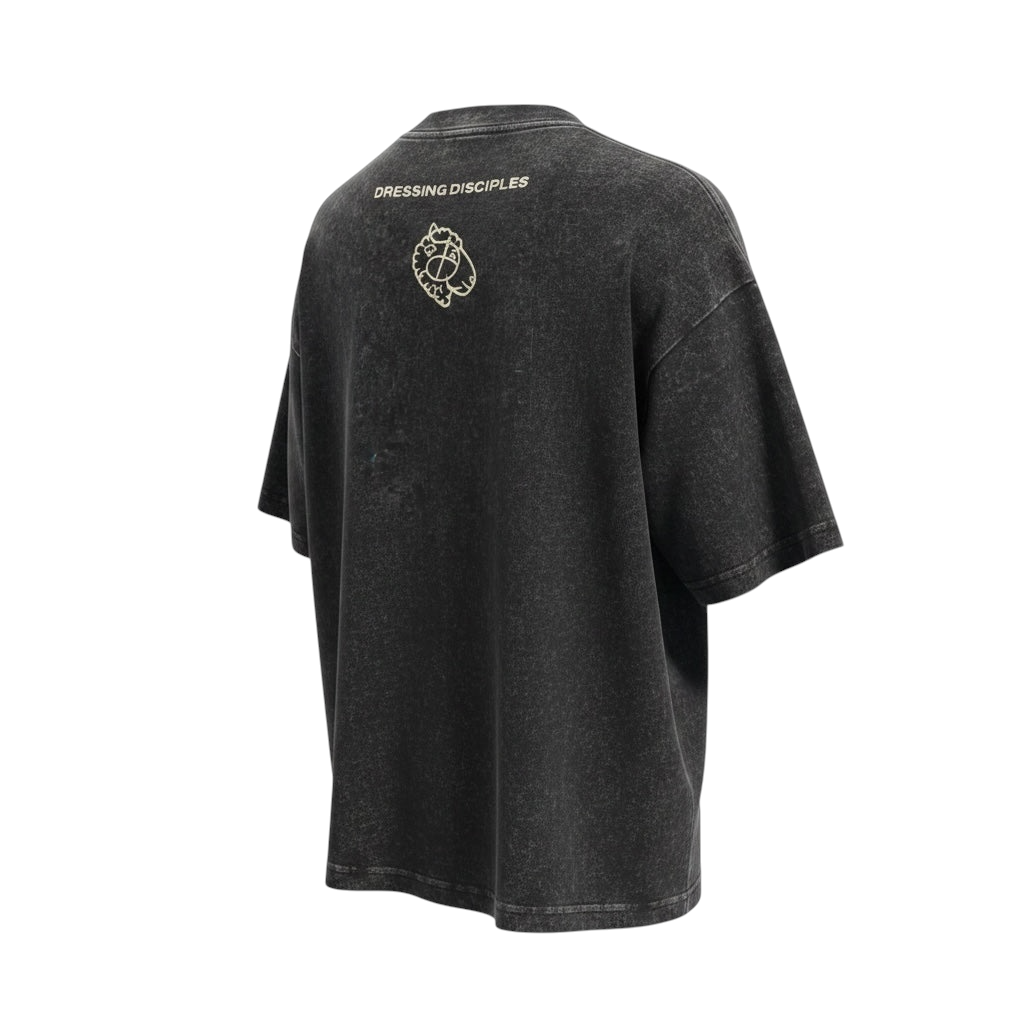 The Promise Brand Co. charcoal acid-wash crewneck t-shirt featuring a back sheep graphic and logo in a relaxed fit.