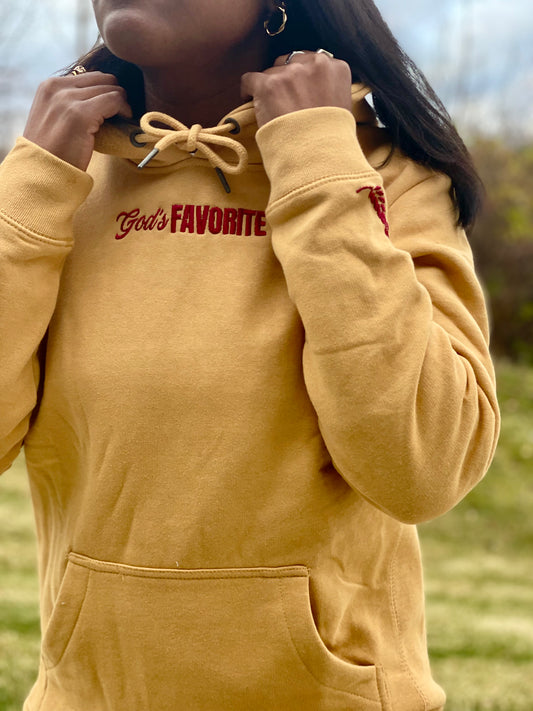 Do Good in Maroon (Hoodie ONLY)