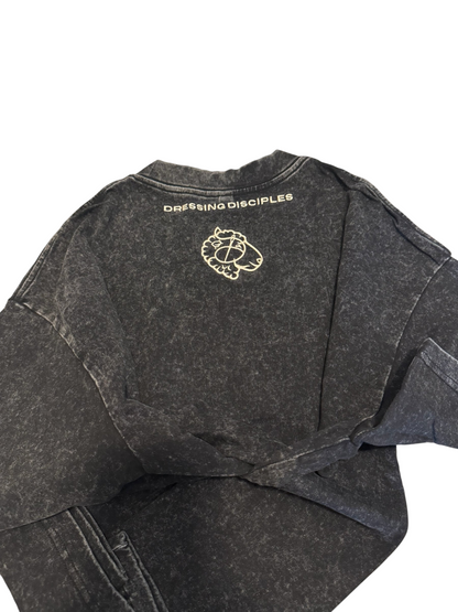 The Promise Brand Co. charcoal acid-wash crewneck t-shirt featuring a minimalist sheep logo and text on the back.